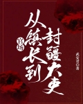 官场:从镇长到封疆大吏!
