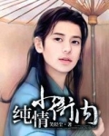 纯情小衙内类似的小说