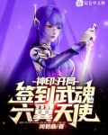 神印开局签到武魂六翼天使下载