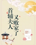 首辅夫人又败家了完整版下载
