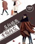离婚向左幸福向右小说免费读