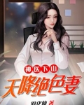 神医下山：天降绝色妻