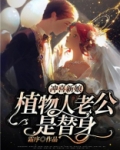 冲喜新娘植物人老公是替身免费阅读