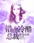 掠爱成婚霸道总裁太难缠全文免费阅读