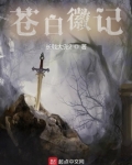 苍白徽记