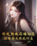 你选择新欢,我选择时间是什么意思