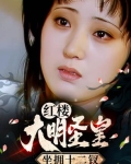 红楼:大明圣皇,坐拥十二钗小说