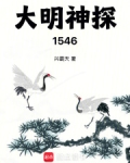 大明神探1546免费观看
