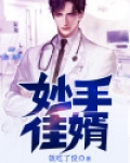 妙手佳婿