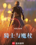 骑士与魔杖