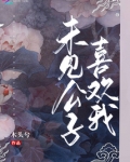 未见公子喜欢我 木头兮