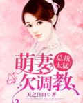 盛婚溺爱霸道总裁偏执爱天之自由