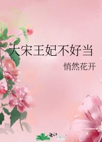 大宋宠妃