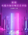 美剧:从薅小谢尔顿羊毛开始小说