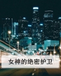 女神的绝密护卫小说