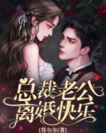 总裁老公,离婚快乐