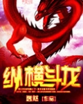 纵横斗龙 小说