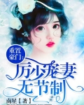 重生厉少宠妻无度 小说