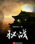 秘战谍影