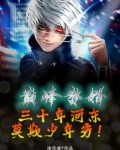巅峰赘婿:三十年河东,莫欺少年穷!