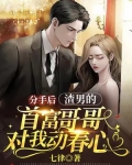 分手后渣男的首富哥哥对我动春心721