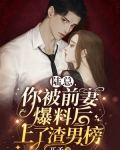 陆总,你被前妻爆料后上了渣男榜