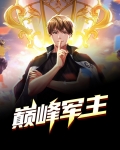 巅峰军主