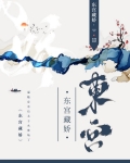 南楼载酒小说