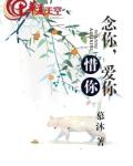 爱你念念念是什么歌