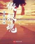 可能是本假银魂小说