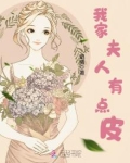 我家夫人太调皮了免费阅读