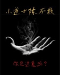 小道士陈不欺作者是谁