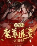 重生后魔尊追妻火葬场txt