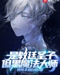 是教廷圣子,但黑魔法大师