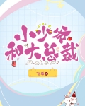 小少爷和大总裁