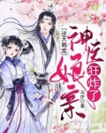 逆天萌宝：神医娘亲狂炸了