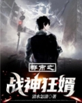 都市之战神狂婿