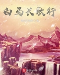 一骑白马出凉州