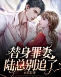 替身罪妻，陆总别追了