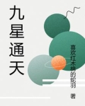 九星天冲