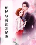 神秘总裁冷妻免费全本