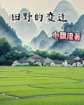 田野的变化日记