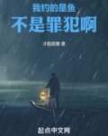 我钓鱼什么意思