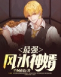 风水神婿孙小圣