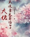 豪门大佬追妻火葬场