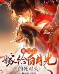 重生后我成了死对头的白月光 小说