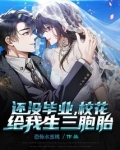 大学还没毕业,校花给我生三胞胎 恐怖水蜜桃笔趣阁