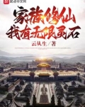家族修仙：我有无限灵石
