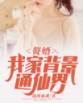 赘婿：我家背景通仙界