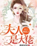 名门热恋之夫人是大佬漫画免费阅读